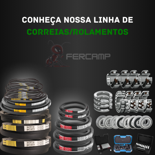 Imagem correias
